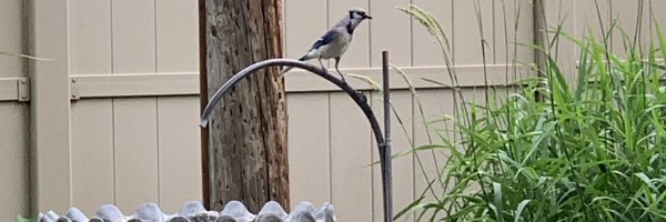 chaney_science Profile Banner