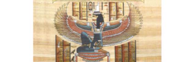 __aneelyahnu's profile banner image