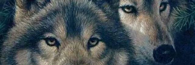 jschutte24's profile banner image