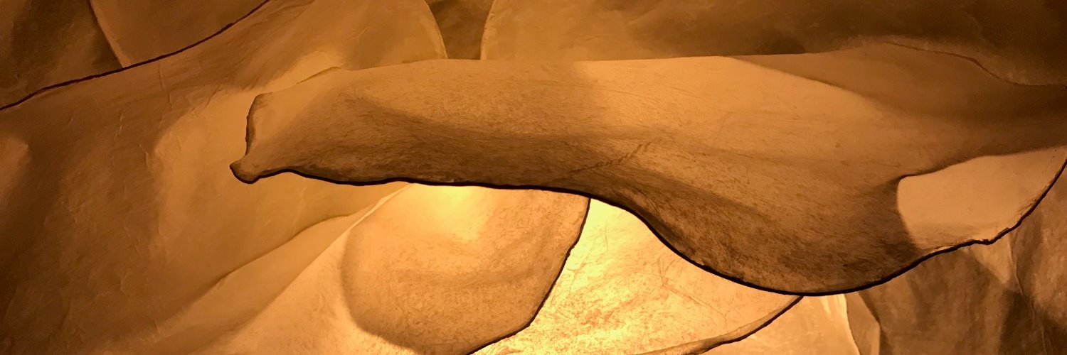 RoseRecele's profile banner image