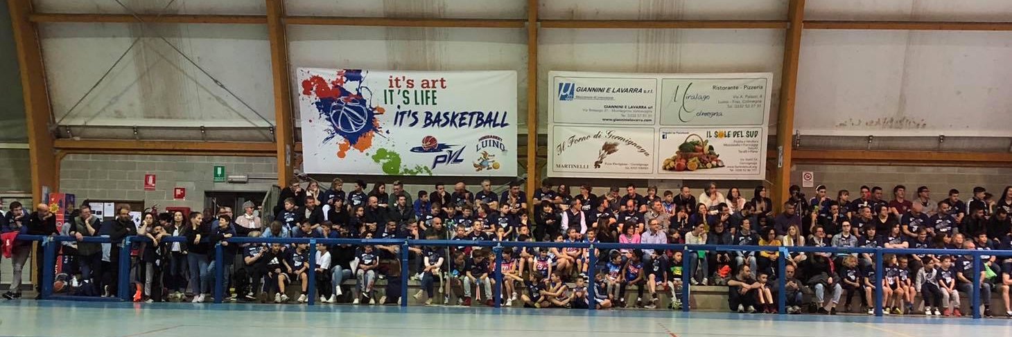 PallVerbano's profile banner image