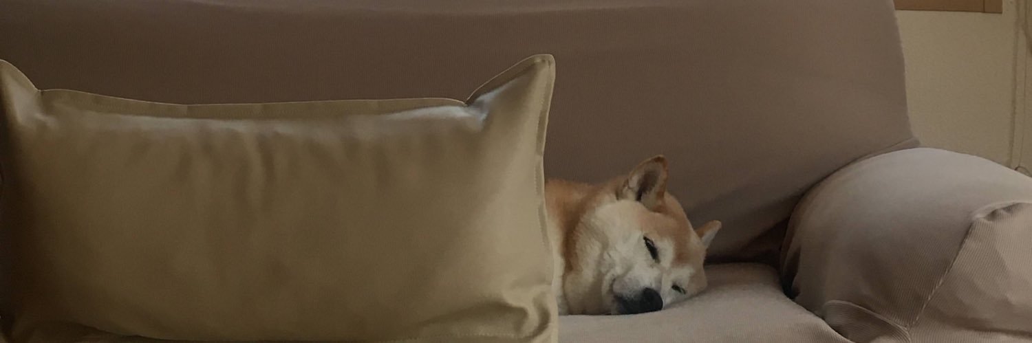 co__rrr's profile banner image