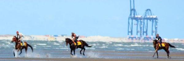 HulbertRacing Profile Banner