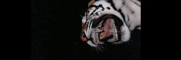 flatout_brown Profile Banner