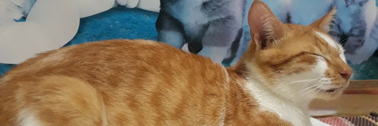 allanleand's profile banner image