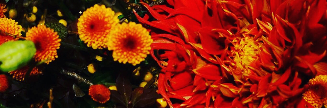 hrtk_maki's profile banner image