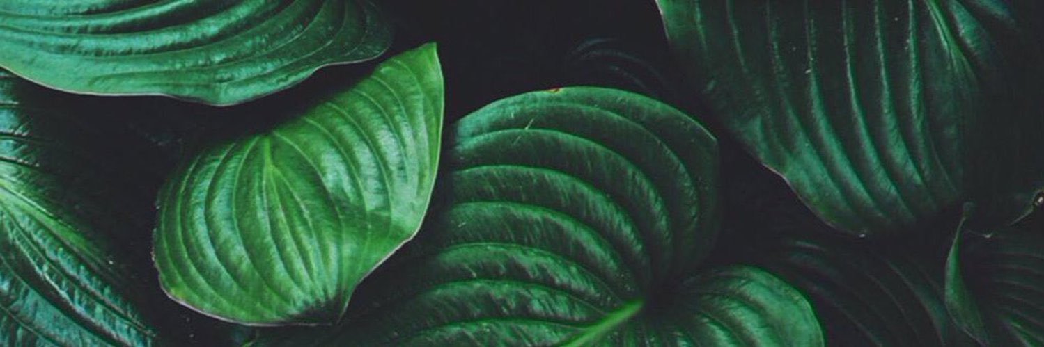 KarismaMichelle's profile banner image