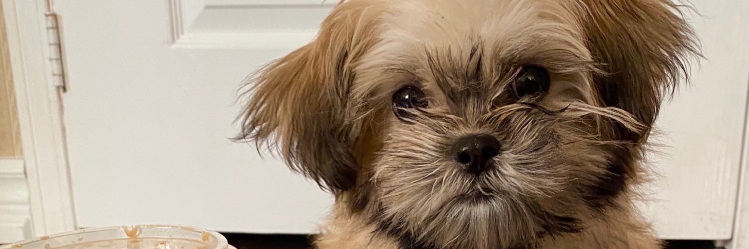 Gabby 🐰 ྀིྀི banner