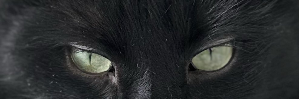 justjess47's profile banner image