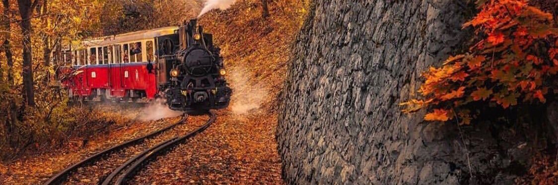 asln_dln's profile banner image