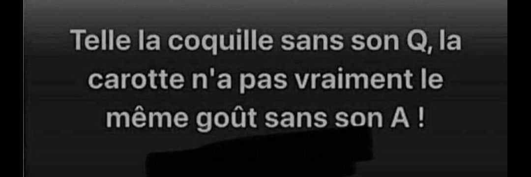 Loïc 🇫🇷🌲❄️🐺🐻🥩 banner