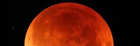 Rocco banner