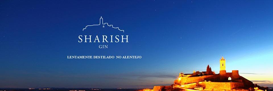 SharishGin's profile banner image