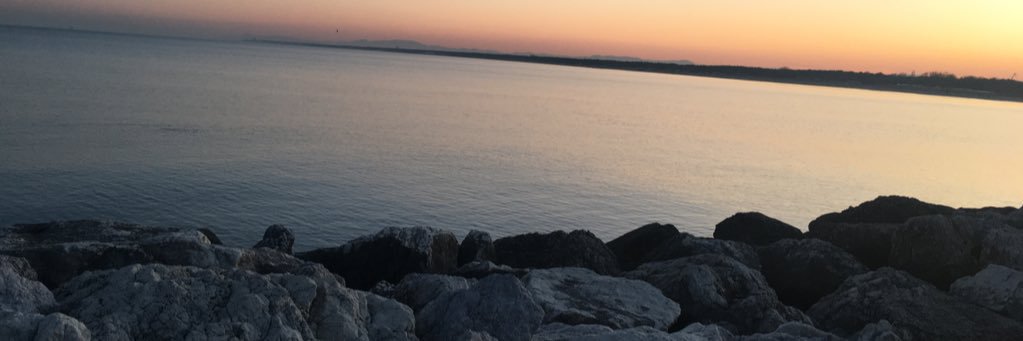 danieleseveri2's profile banner image