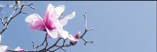 Iwasmih_'s profile banner image