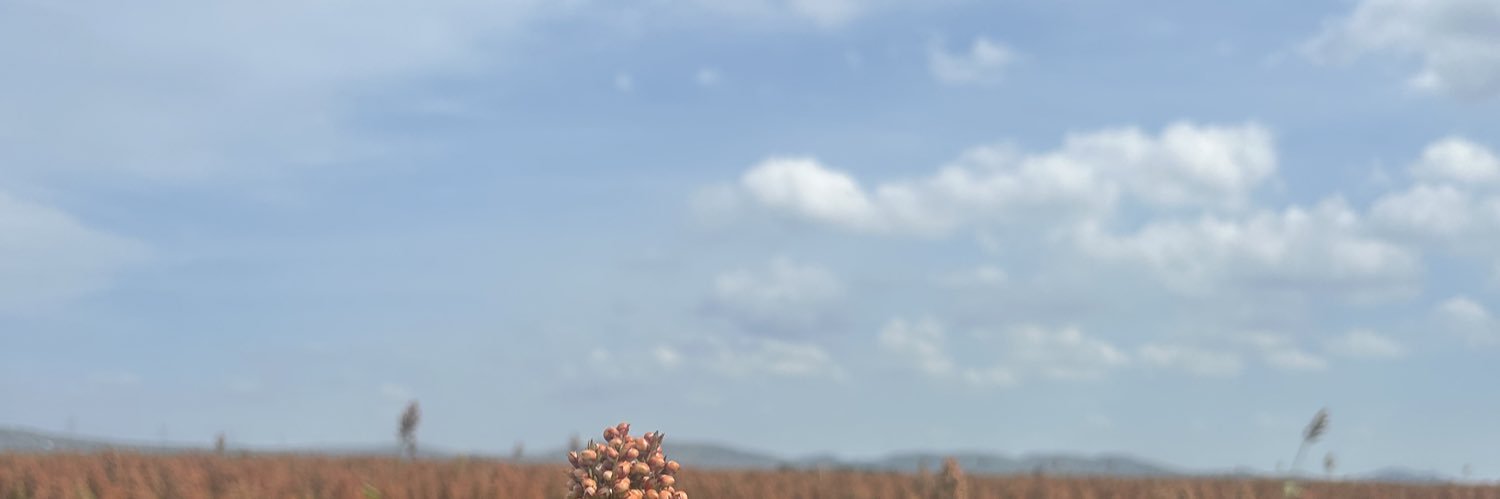 karina_ive's profile banner image