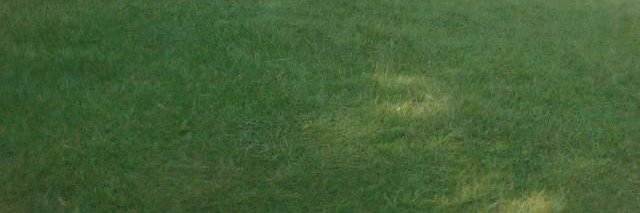 RapandoVictor's profile banner image