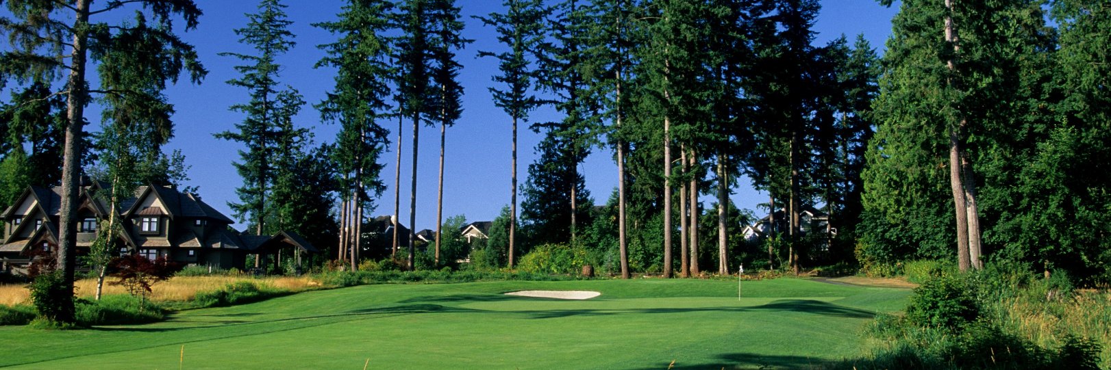 Brett Saunders banner