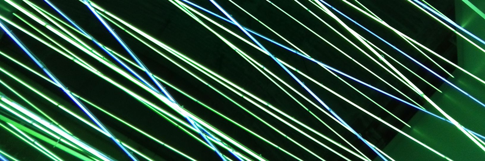 Stefano Zapperi banner