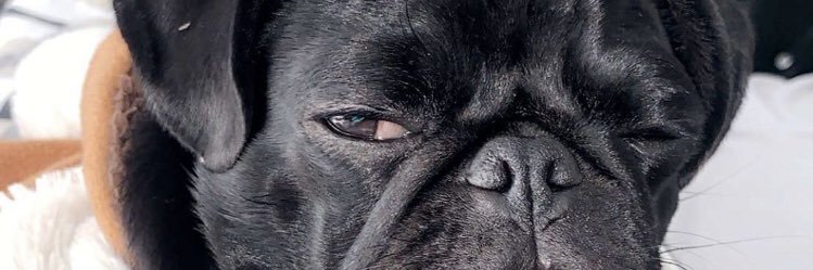 olatejulemmy's profile banner image