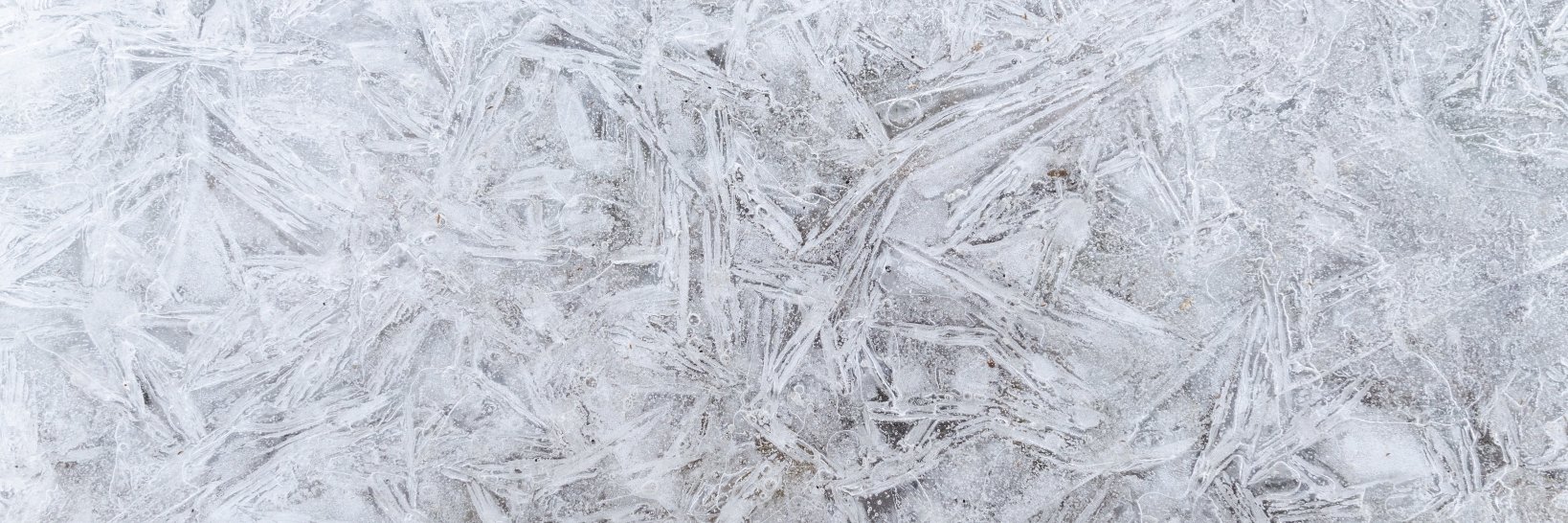 BeckySBreen's profile banner image