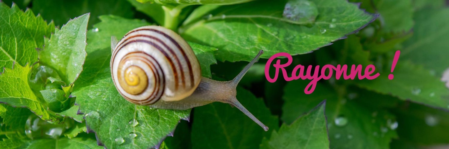 RayonneSparkle's profile banner image