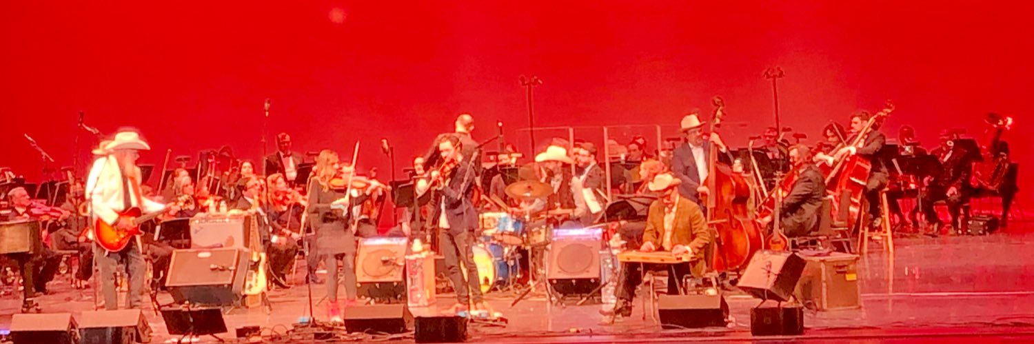 Phil McDonald banner