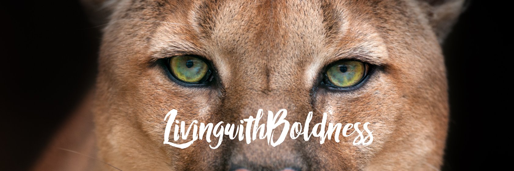 boldness_coach's profile banner image