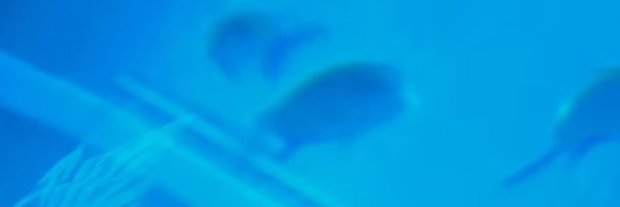 818notary's profile banner image