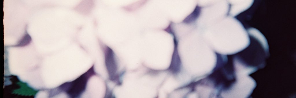 01sa06's profile banner image