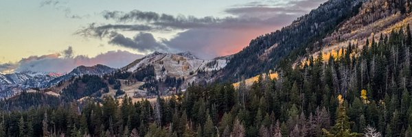 CollinCrews Profile Banner