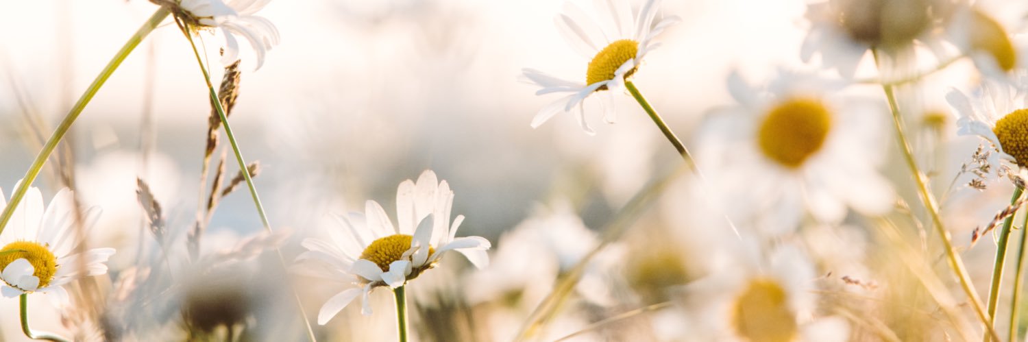 hannahargyle's profile banner image