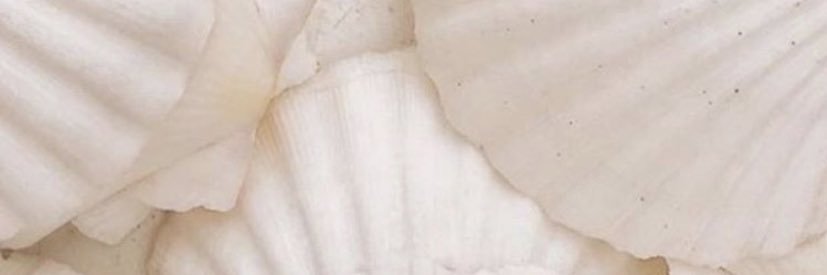 beabedier's profile banner image