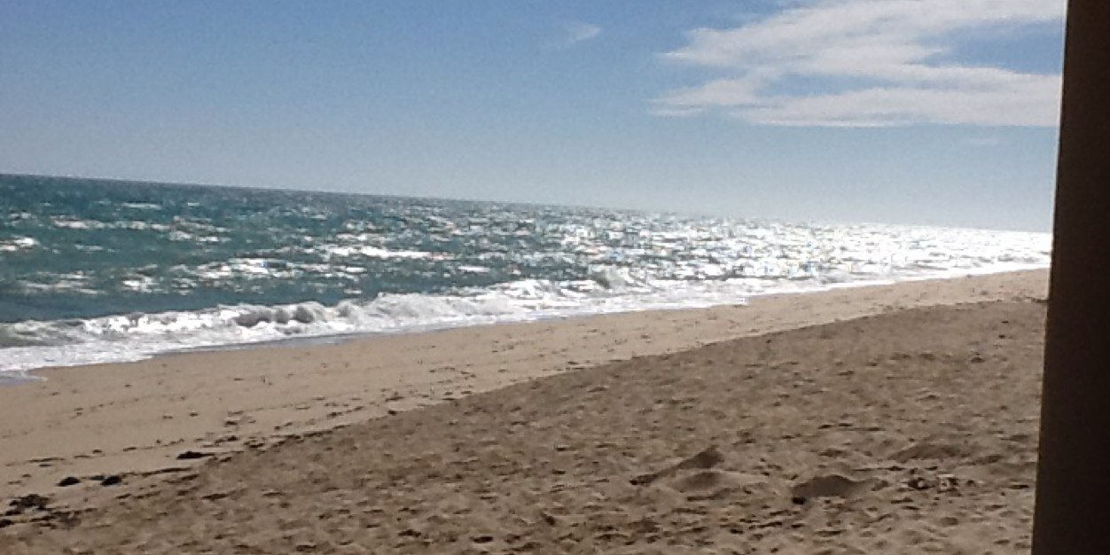 wineisus's profile banner image