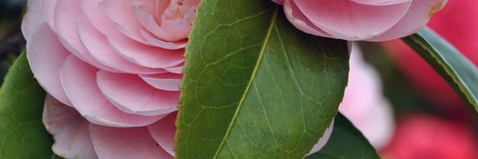 recs647's profile banner image