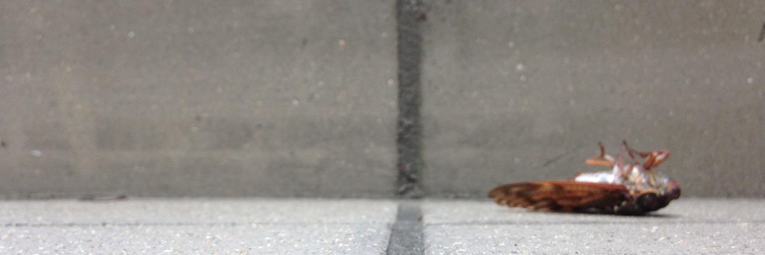 rackorfloor's profile banner image