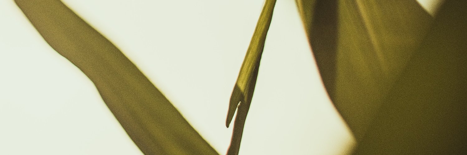 grassrootsglob's profile banner image
