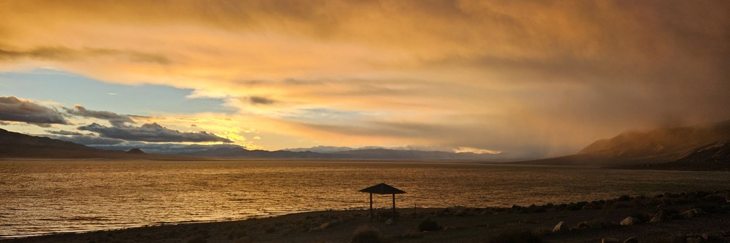 kelly paschall banner