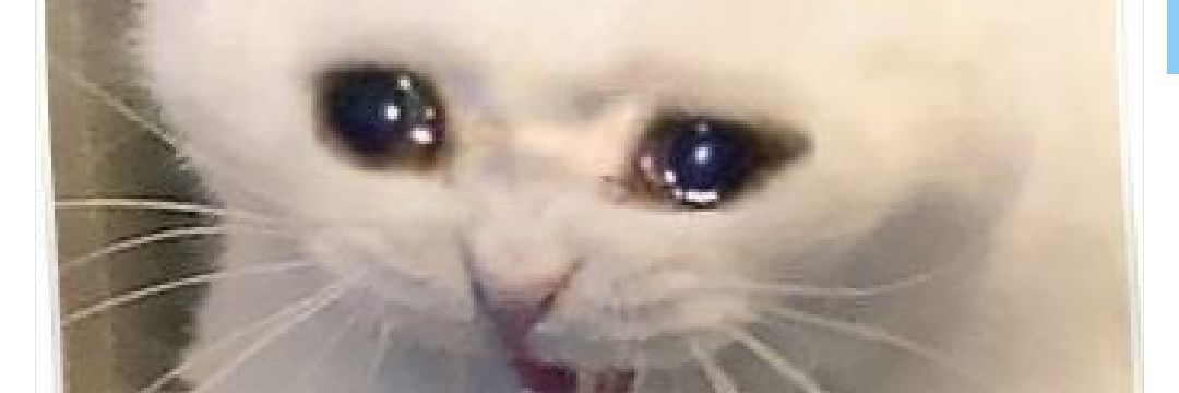 being5sostho's profile banner image