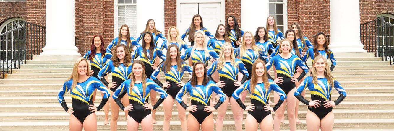 UDGymnastics's profile banner image