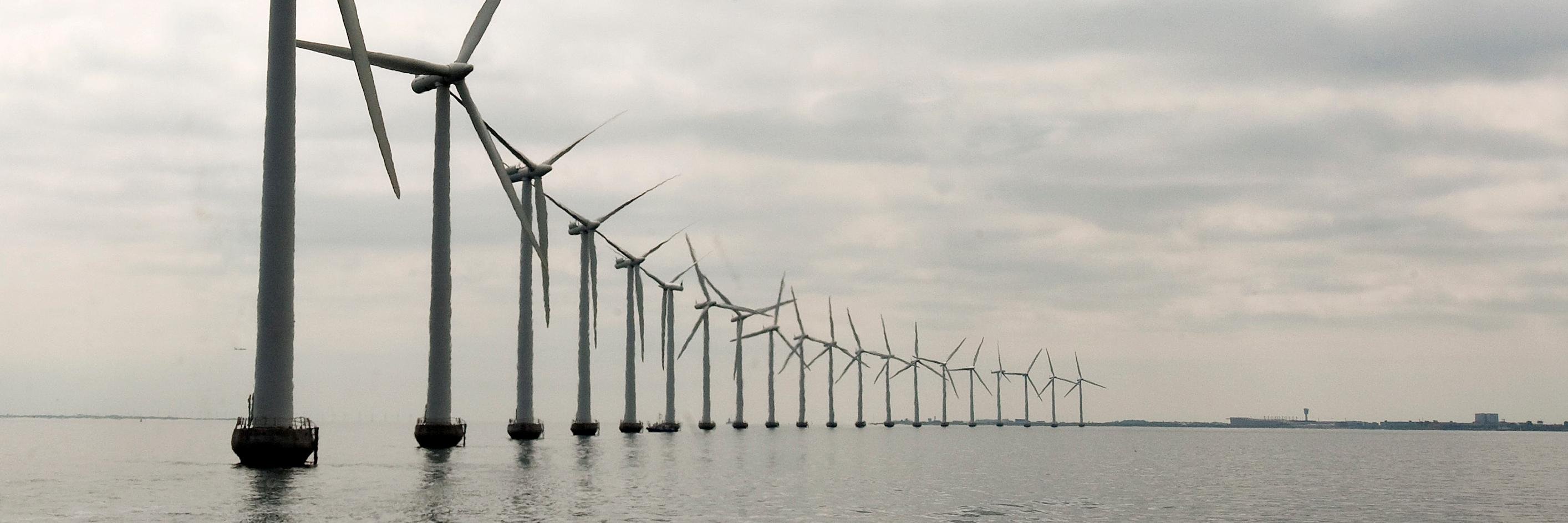 United Nations DSD banner