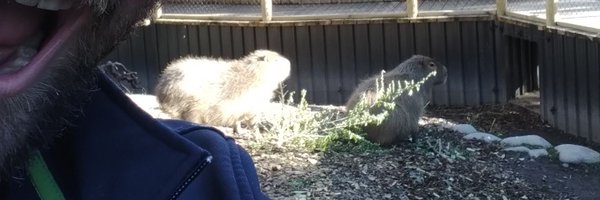 wafflesthemagic Profile Banner