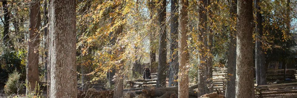 MadCrabCorb's profile banner image