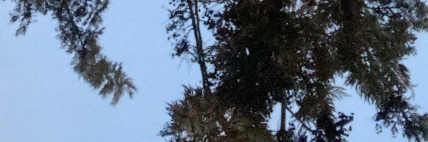 carol___20's profile banner image