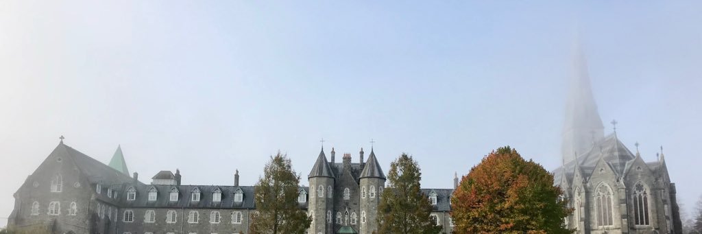 ProfAndrewRyder's profile banner image