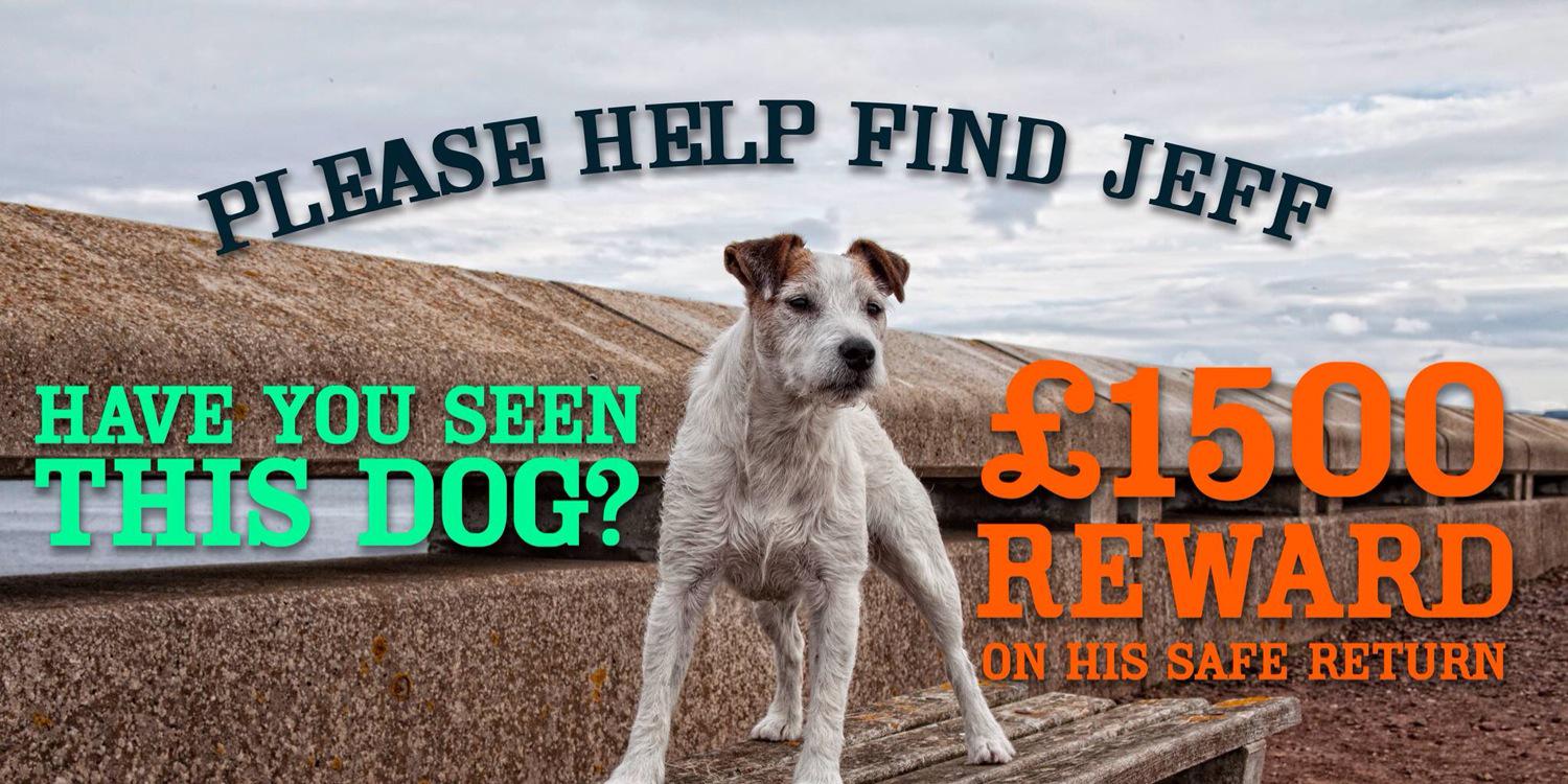 Help Find Jeff banner