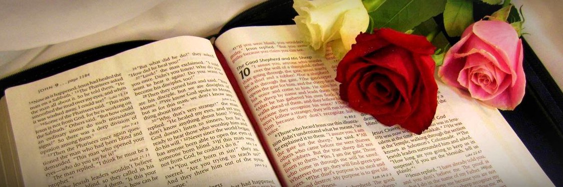 Sandy ✝️ 🏴󠁧󠁢󠁥󠁮󠁧󠁿 🇬🇧 🇮🇱 banner