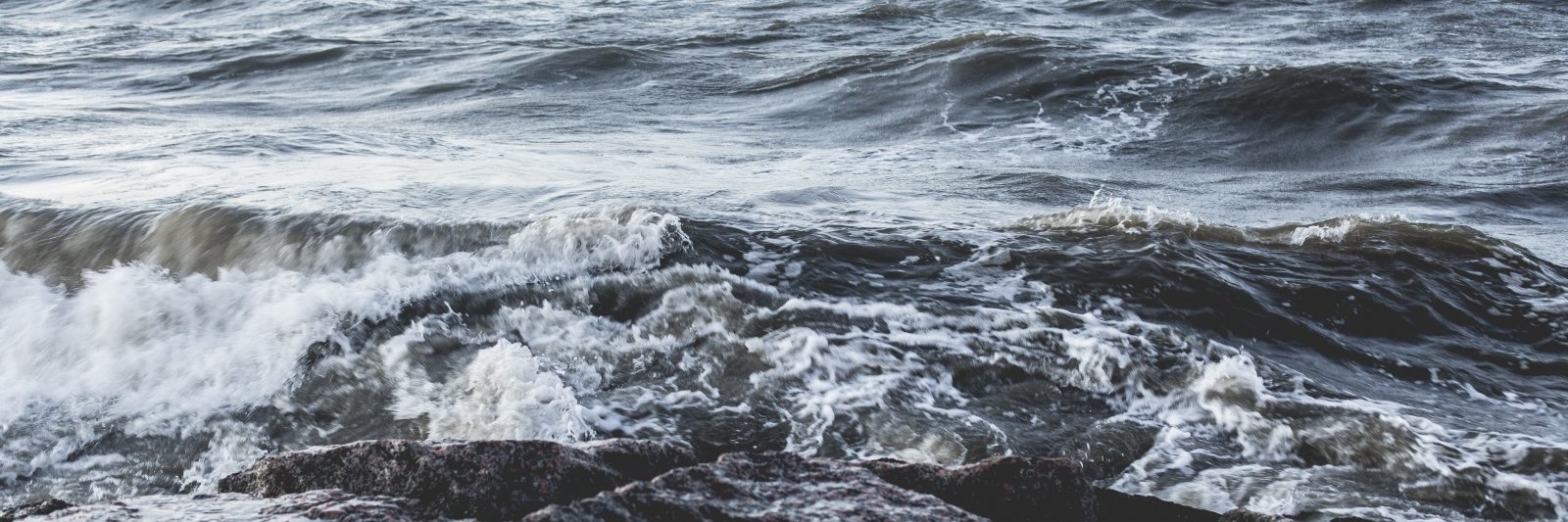 Capt.Lovelace banner