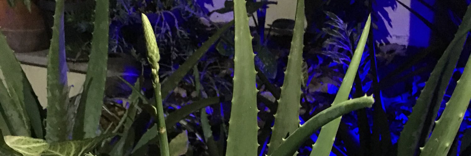 ari_es5's profile banner image