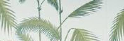 BoyBandsAF_'s profile banner image